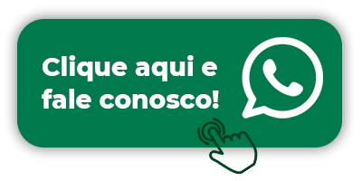 Falar no WhatsApp